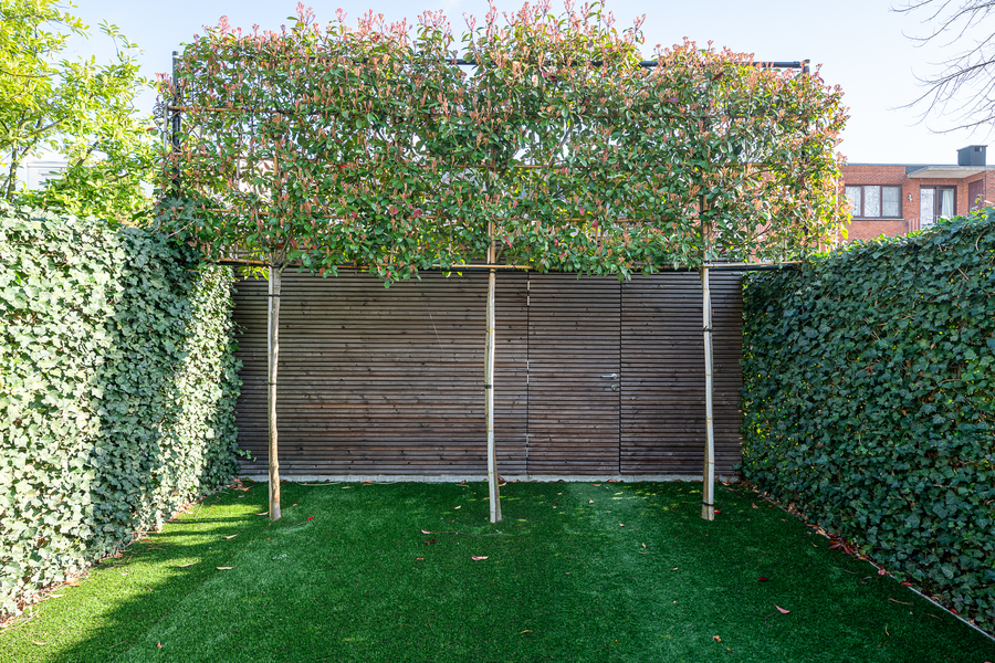 Zicht op een strakke tuin met achteraan een berging in horizontaal latwerk Zicht op een strakke tuin met achteraan een berging in horizontaal latwerk